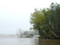 Foto de pesca con mosca