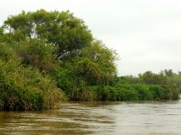 Foto de pesca con mosca