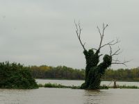 Foto de pesca con mosca