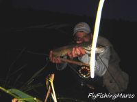 Fly fishing picture