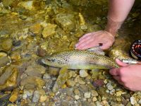 Foto de pesca con mosca