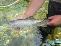 Foto de pesca con mosca