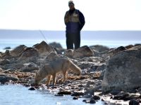 Foto de pesca con mosca