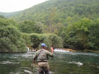 Fly fishing picture