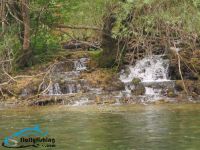 Fly fishing picture