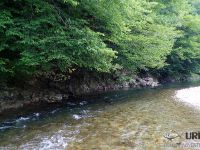 Selška Sora River is managed by Angling Club Železniki
Urko Fishing Adventures
