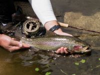 Foto de pesca con mosca