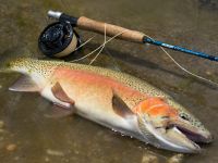 Foto de pesca con mosca