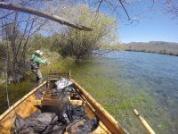 Foto de pesca con mosca