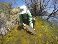 Foto de pesca con mosca