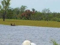 Foto de pesca con mosca