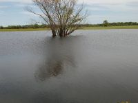 Foto de pesca con mosca