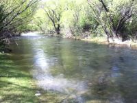 Foto de pesca con mosca