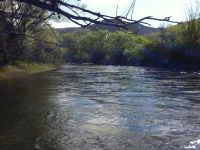 Foto de pesca con mosca