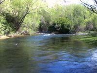 Foto de pesca con mosca