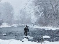 Spotting winter risers on the Big Wood River, Idaho. Bryan Huskey photo.