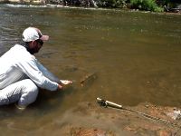 Foto de pesca con mosca