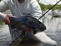 Foto de pesca con mosca