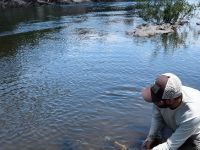 Foto de pesca con mosca