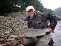 Nice salmon caught and released on beat 3 - Vollan pool