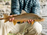 Foto de pesca con mosca