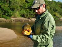 Foto de pesca con mosca