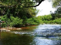 Foto de pesca con mosca