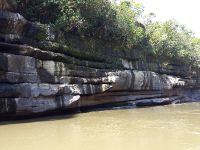 La selva chorreando sobre las paredes de Basalto