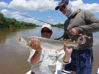 Fly fishing picture