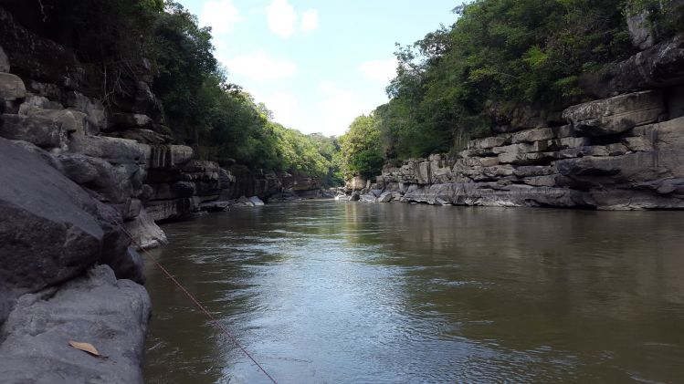 Río Guayabero