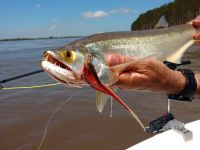 Foto de pesca con mosca