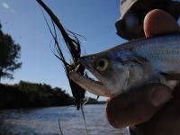 Foto de pesca con mosca