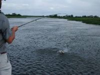 Foto de pesca con mosca