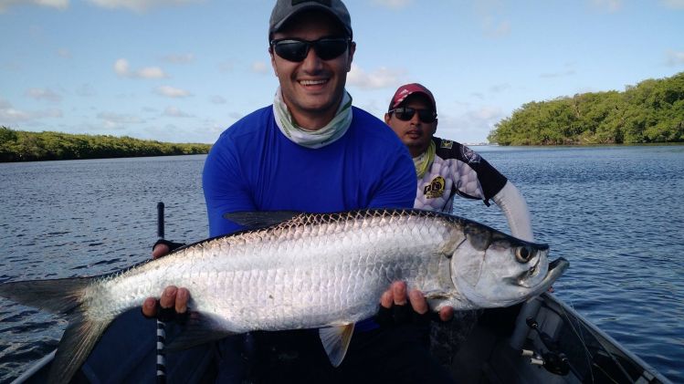 Tarpon caught on a ep fiber streamer in northeast Brazil, in a mangrove close to João Pessoa city.

Angler:
Rodrigo Zhouri

Guide : Romildo Junior