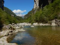 Fly fishing picture