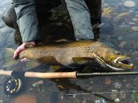 Foto de pesca con mosca