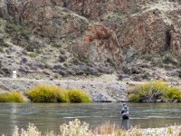 Foto de pesca con mosca