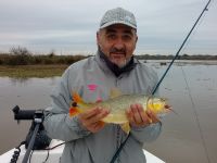 Foto de pesca con mosca