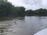 Foto de pesca con mosca