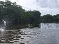 Foto de pesca con mosca