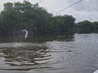 Foto de pesca con mosca