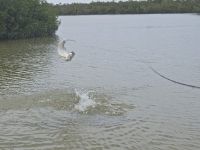 Foto de pesca con mosca