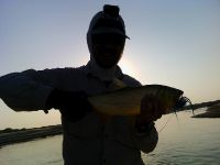 Fly fishing picture