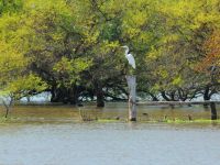 Foto de pesca con mosca