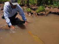 Foto de pesca con mosca