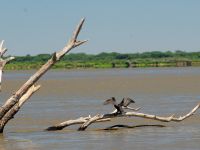 Foto de pesca con mosca