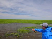 Foto de pesca con mosca