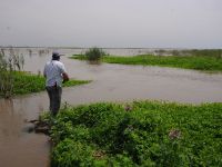 Foto de pesca con mosca