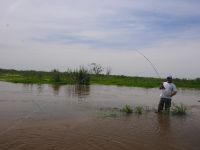 Foto de pesca con mosca