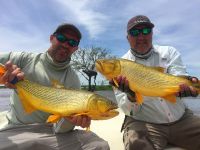 Foto de pesca con mosca